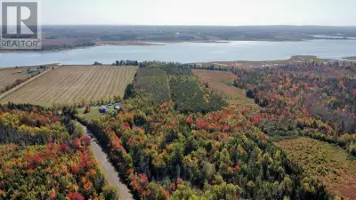 Have you ever dreamed of having a completely private, treed, waterfront acreage only 15 minutes from...