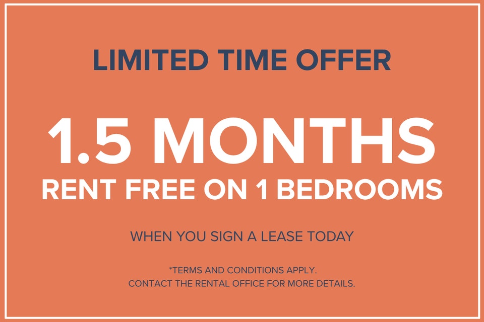 The 1350 Dufort Apartments - Jr 1 Bedroom, Montreal Apt for Rent 3