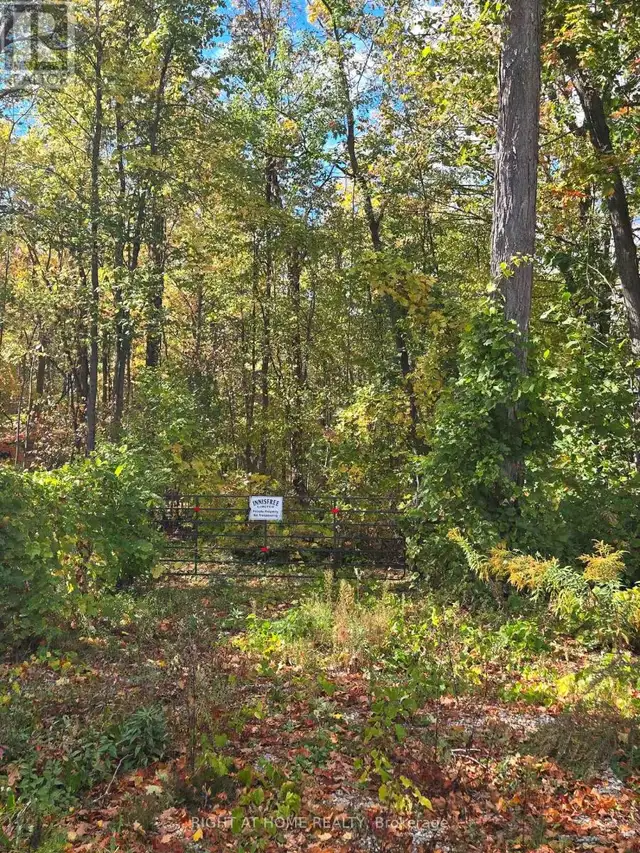 414 LIMERICK STREET Innisfil, Ontario in Land for Sale in Barrie - Image 3