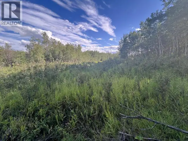 LOT 7 253 ROAD Fort St. John, British Columbia in Land for Sale in Fort St. John - Image 13