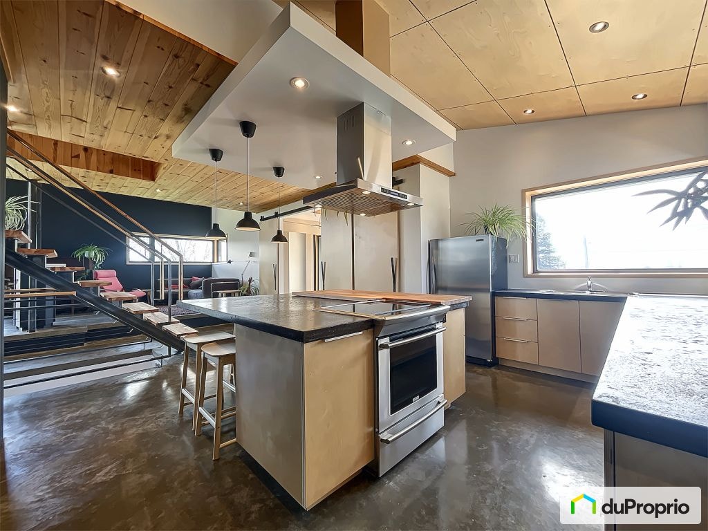 $1,125,000 - Intergenerational for sale in St-Jacques — photo 1