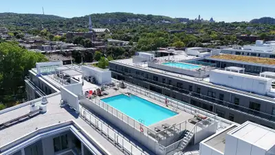 3.5 condo appartement luxe à louer à Outremont-Milhaus, View more