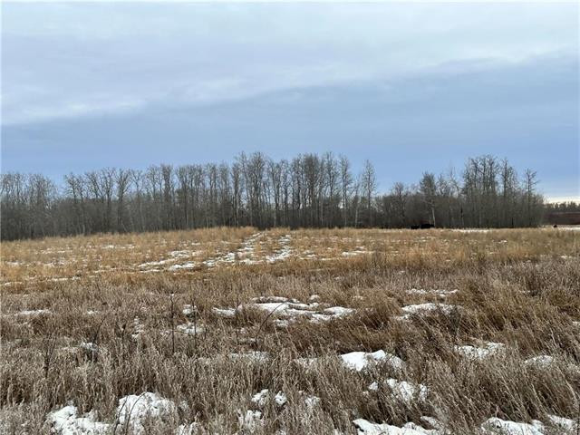 153 acres of gently rolling landscape with view of Minnedosa, MB in Land for Sale in Brandon - Image 4