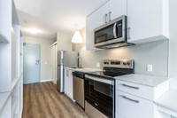 Free Fable Dishware Set! Furnished Studio Apartment | Kitchener