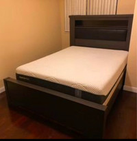 Tempur Pedic Queen Mattress - great deal