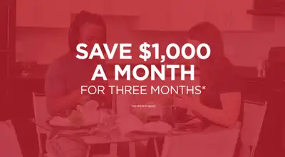 Broadstreet’s Lakeview Ridge offers 1, 2, and 3 bedroom pet friendly apartments and 3 bedroom townho...