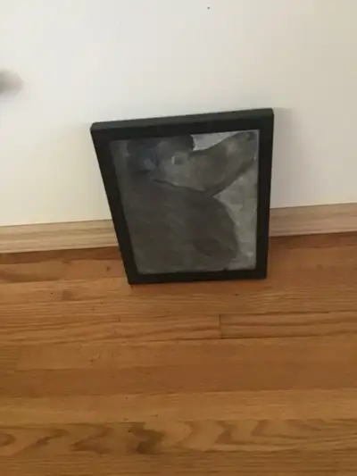 POODLE PICTURE, View more