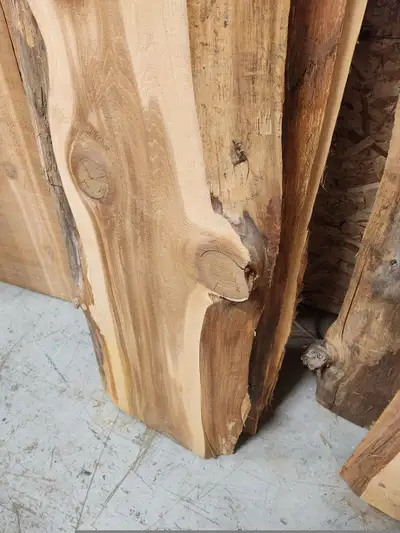 Unique Live Edge Cedar Slab, View more