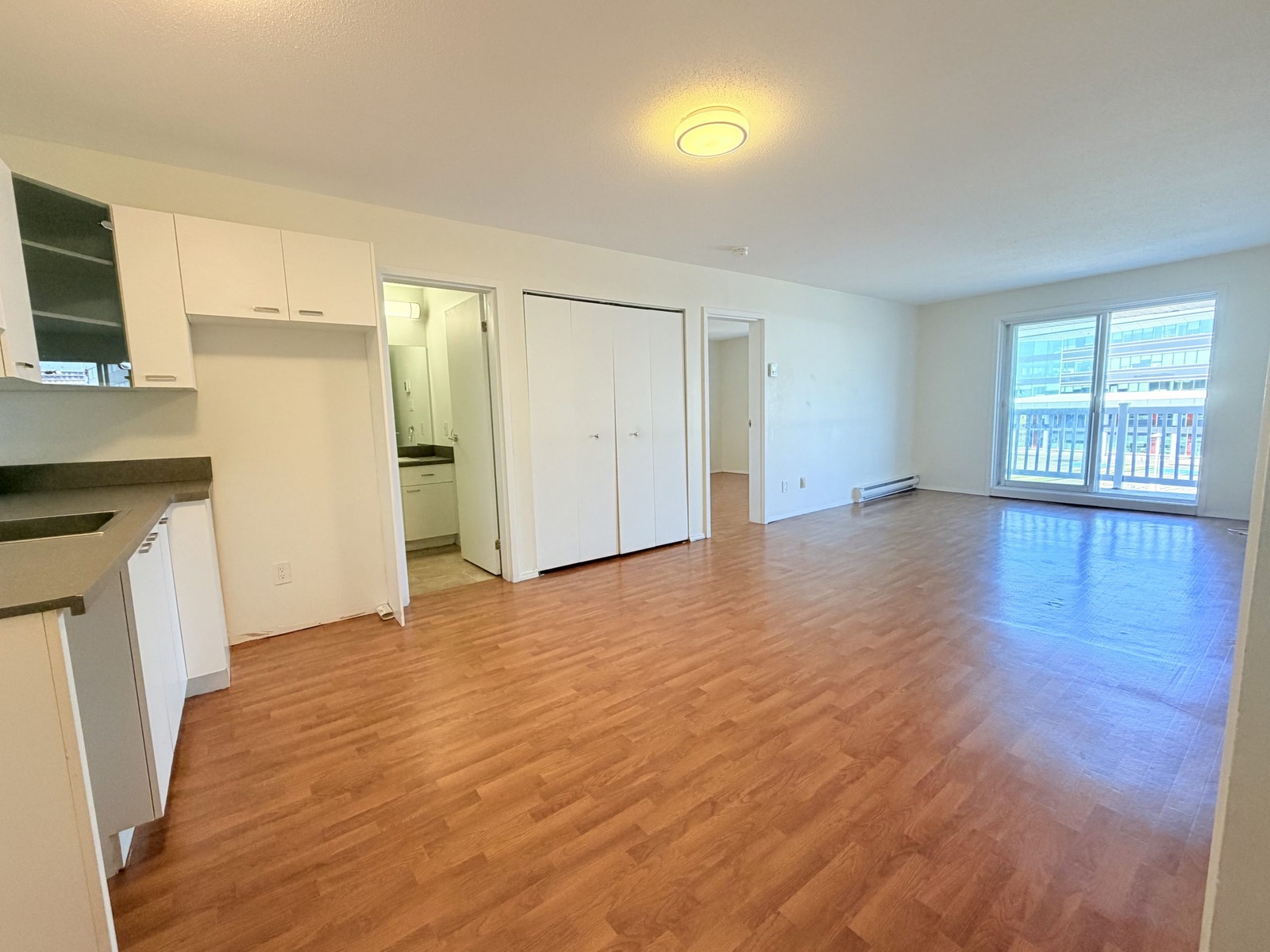 3060 Rue Antoine-du Verdier — photo 1
