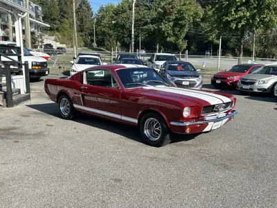 Here's your chance to own one of the nicest 66 mustang fastbacks around! So much has been done to th...