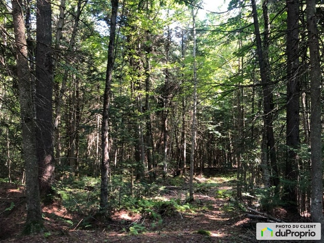 $76,475 - Residential Lot for sale in Stratford — photo 1