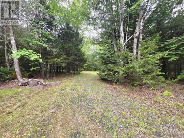 Lot 1 Old North Range Road Ashmore, Nova Scotia in Land for Sale in Yarmouth - Image 26