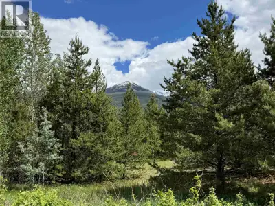 New on the market! Looking for a really nice little acreage just a few minutes from town? This may b...