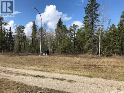 Vacant river front lot, NO building timelines, OWNED lot. This lot is 1.88 acres in size. Mature tre...