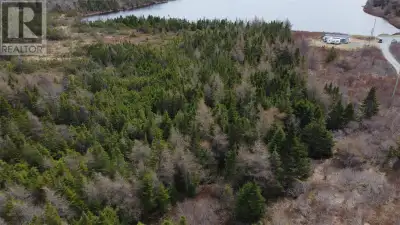 8.6 Acres of water front property on Snows Pond in North River!! This property has so many options....