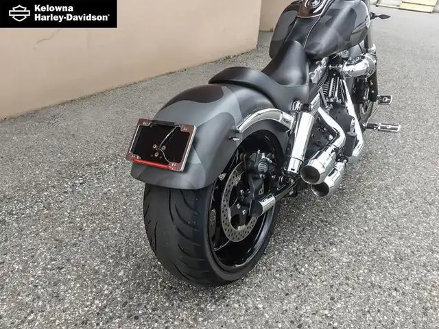 2009 Harley-Davidson FXDF - Dyna Fat Bob in Street, Cruisers & Choppers in Kelowna - Image 22