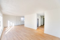 Amenities: Renovated Suites • Quiet Building • Dog Wash Station • Solar Panels Suite & Building: Spa... (image 4)