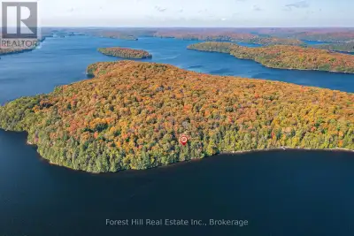 Maturely treed, deep building lot on Haliburton's largest lake with 309 feet of variable shoreline a...