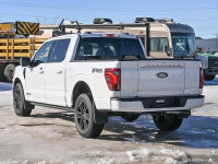 BlueCruise, Sunroof, Power Running Boards, HUD, B&O Audio! This vehicle is located at Koch Ford Edmo... (image 3)