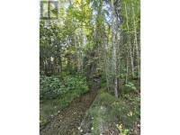 11328 E 16 HIGHWAY Valemount, British Columbia Quesnel Cariboo Area Preview