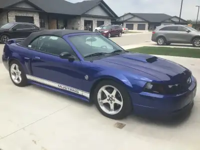 2004 MUSTANG GT CONVERTABLE. 3.6 V8. 40 YEAR ANNIVERSARY EDITION. MINT CONDITION. NEVER WINTER DRIVE...