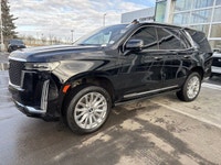 Stock Number: CC2836X AMVIC LICENSED DEALER. This 2023 Cadillac Escalade 4WD Utility is finished in... (image 3)