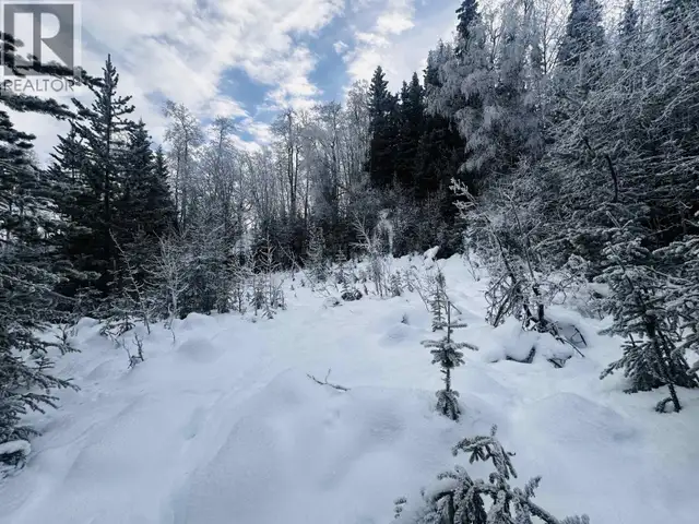LOT A BALD HILL ROAD Burns Lake, British Columbia in Land for Sale in Burns Lake - Image 28
