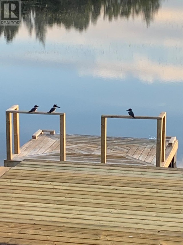 0 Rocky Brook Road Badger, Newfoundland & Labrador Houses for Sale