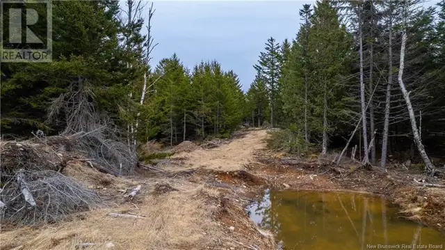 0 Lobster Pound Road Hersonville, New Brunswick in Land for Sale in Saint John - Image 19