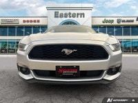 | Exterior Parking Camera Rear | Fully Automatic Headlights | Engine Block Heater | Brake Assist | E... (image 7)