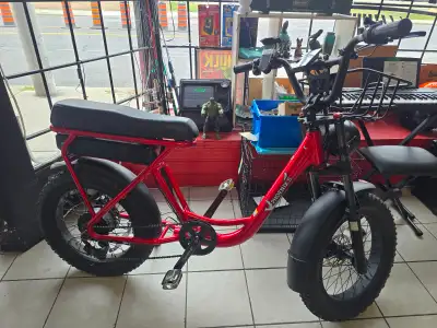 Avvenire Phoenix S Fat Tire E-Bike With Charger And Lock, View more