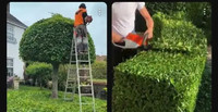 Gardner, grass technician, lawnmower repairer and hedge trimmer