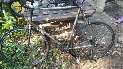 Ciocc Italian Columbus steel 63cm road bike campagnolo group, View more