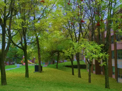 Arbour View Apartments - Owned and Operated by Zulich Enterprises Limited As of 2018, we are going n...