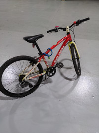 Youth/kids Raleigh Cadent 24"