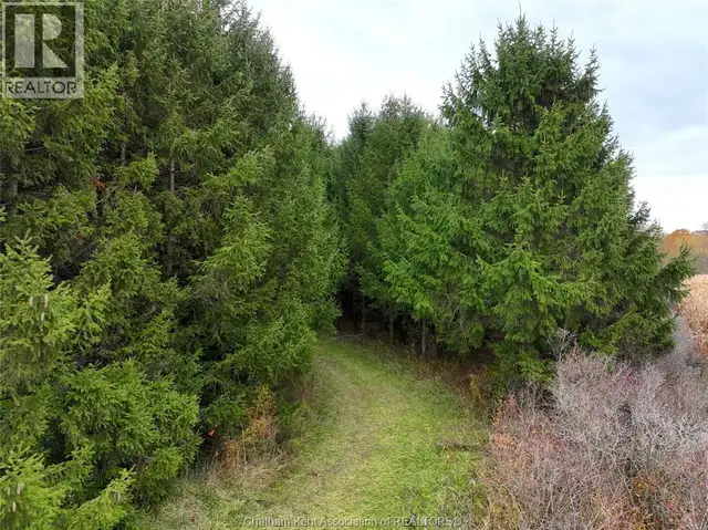 0 OAKDALE ROAD Dawn-Euphemia, Ontario in Land for Sale in Chatham-Kent - Image 11