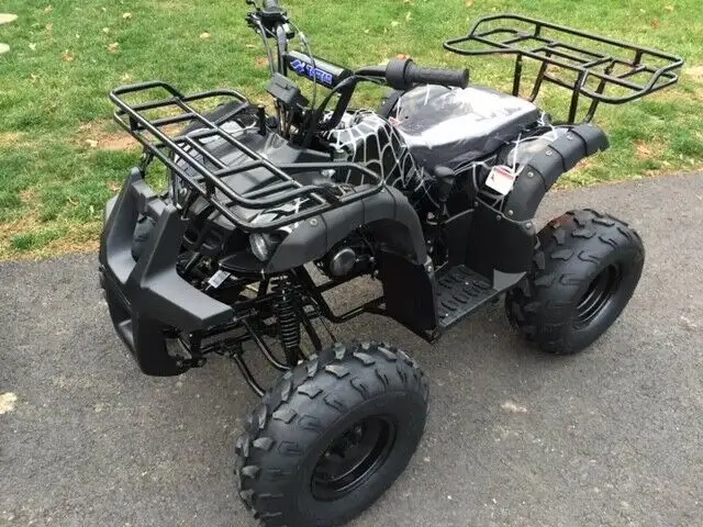 SPECIAL CLEARANCE ON NEW TAOTAO TEEN / ADULT 150D ATV / QUAD in ATVs in Winnipeg - Image 16