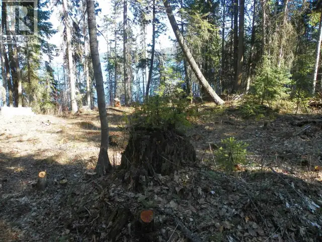 LOT A CANIM-HENDRIX LAKE ROAD Canim Lake, British Columbia in Land for Sale in 100 Mile House - Image 18