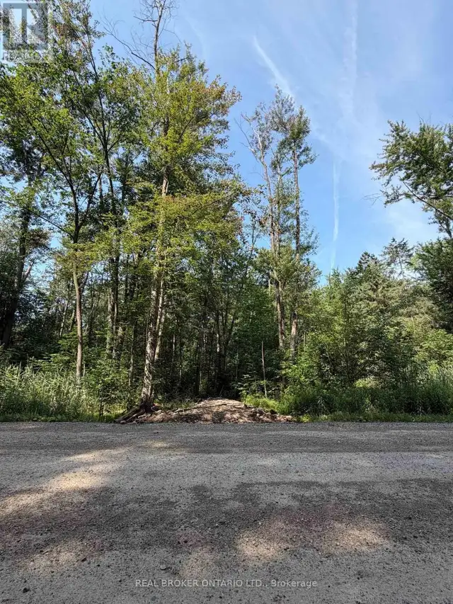 436123 43RD LINE Zorra, Ontario in Land for Sale in Woodstock - Image 3