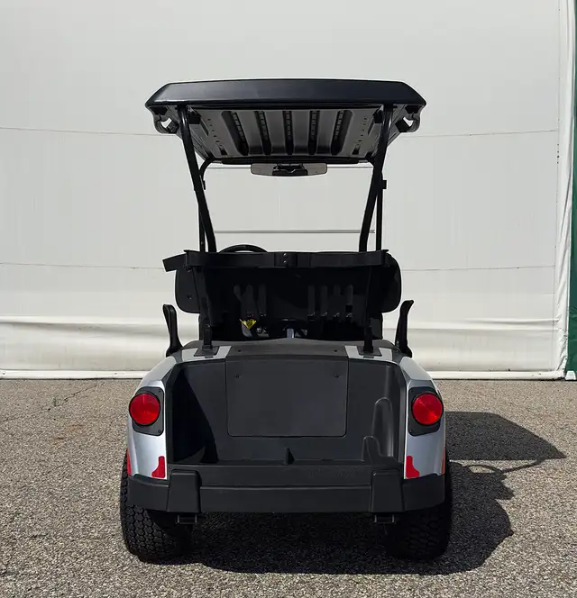 2026 E-Z-GO RXV 2 Valor S EX1-Platinum golf carts in ATVs in Vernon - Image 5