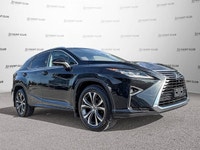 8.0-inch Lexus Display Audio screen with Remote Touch interface, 12-speaker Lexus Premium Audio Syst... (image 8)