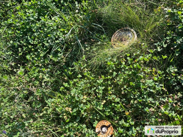 $905,000 - Price taxes not included - Industrial lot for sale — photo 3