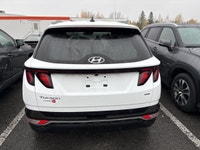 AUCUN DOSSIER DE DOMMAGE Ce Tuscon est équipé de : Volant chauffant, Bluetooth, Cruise, PRISE USB, s... (image 8)