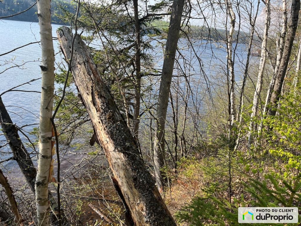 $297,000 - Residential Lot for sale in St-Roch-De-Mekinac — photo 1