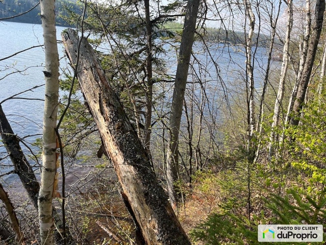 $297,000 - Residential Lot for sale in St-Roch-De-Mekinac — photo 1