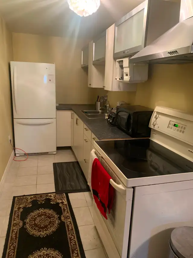apartement for rent