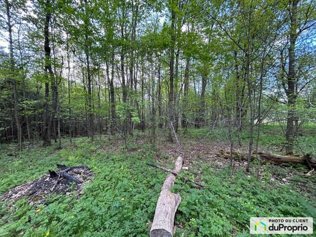 $300,000 - Residential Lot for sale in Shefford — photo 3
