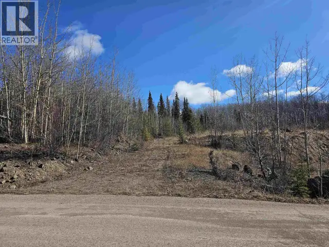 970 NASH ROAD Burns Lake, British Columbia in Land for Sale in Burns Lake - Image 3