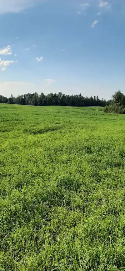 First Cut Round Hay Bales for 2025 $200 Description We anticipate our first cut around July 15th and...