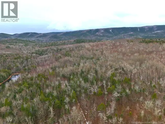Lot Shaw Road Shenstone, New Brunswick in Land for Sale in Moncton - Image 8
